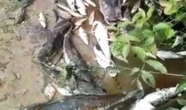 Mineradora terá de pagar mais de 1,5 mil exames após rio ser contaminado e população passar mal em Campos Verdes, diz decisão