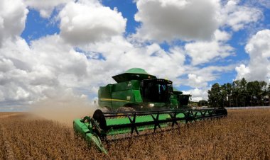 Balança comercial goiana cresce 50,71% de janeiro a julho