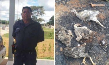 Fazendeiro morre queimado após tentar salvar animais durante incêndio em Cidade Ocidental