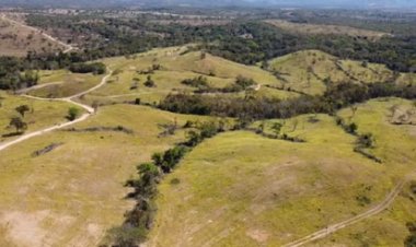 Ibama autua vice-prefeito e assessor de Niquelândia por desmatamento do Cerrado