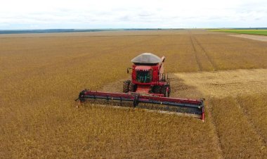 Agricultura e Indústria crescem em Goiás durante pandemia