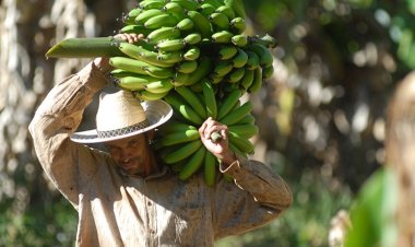 Agricultura familiar não terá que  contribuir  para Fundo de Infraestrutura