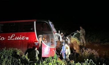Ônibus da Expresso São Luiz bate em boi na BR-060 e três pessoas ficam feridas
