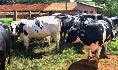 Agrodefesa certifica fazendas como propriedades livres de brucelose e tuberculose