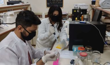 Pesquisadores da UEG descobrem novas espécies de cogumelo e bolor