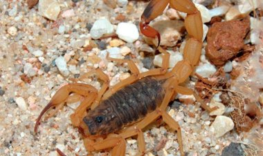 CAMPANHA INFORMATIVA!