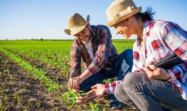 ATENÇÃO Agricultores!!!