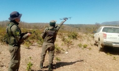 Concurso para técnicos da Secretaria do Meio Ambiente ocorrerá neste domingo (12/3)