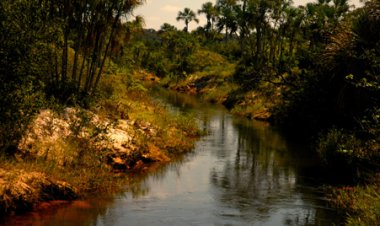 Dia Mundial da Água: Cerrado pode perder quase 34% da água até 2050