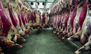 China suspende embargo à carne bovina brasileira