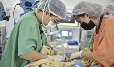 Hugol é referência em cirurgias cardíacas em crianças no Centro-Oeste