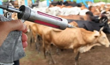 Goiás divulga campanha de vacinação contra a raiva de herbívoros