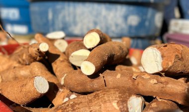 Secretaria de Agricultura de Formosa realiza Farinhada Social