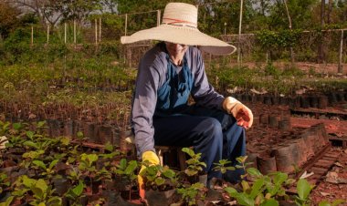 Formosa lidera criação de empregos no agro no mês de abril
