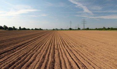 Em Goiás, vazio sanitário da soja será de 27 de junho a 24 de setembro