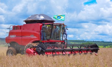 Geração de empregos em Goiás é destaque nacional