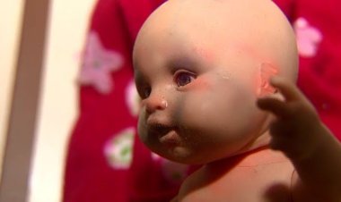 Mulher foi presa  por torturar sua filha e forçá-la a dormir em meio a ração destinada a animais em SC