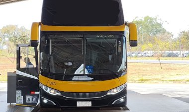 PRF prende mulher que transportava drogas em ônibus interestadual na BR-020
