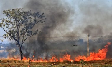 Goiás decreta estado de emergência ambiental para combater incêndios florestais