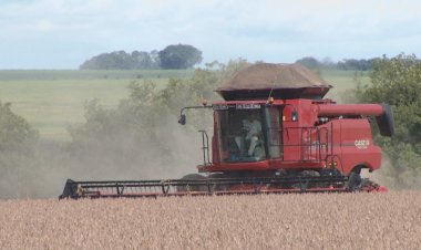 Goiás consolida sua posição como grande produtor agrícola