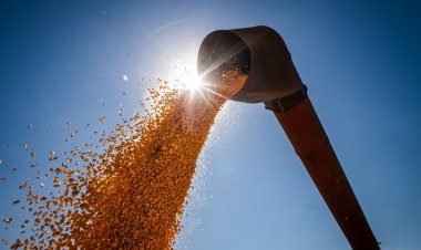 Goiás bate recorde na produção de grãos na safra 2022/2023