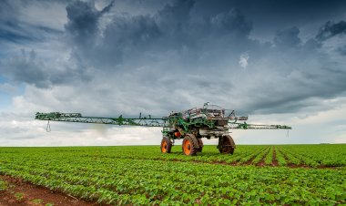 Rio Verde é o segundo maior produtor de soja do Brasil