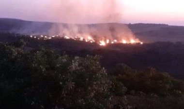 Desmatamento na Chapada dos Veadeiros preocupa moradores e ambientalistas