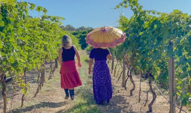Cachaça e vinho produzidos no Entorno são convite para turista no fim de semana