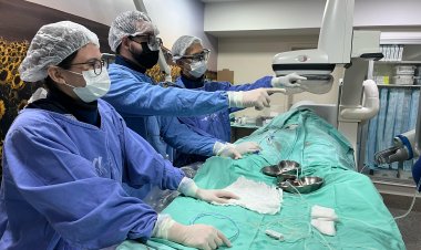 HGG realiza procedimento inédito para tratamento de aneurisma cerebral