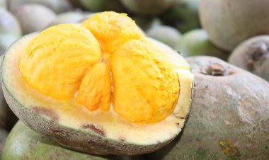 É amanhã a III Festa do Pequi da Ceasa/GO