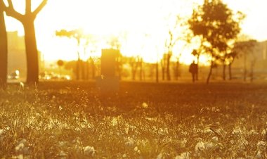El Niño: pesquisadores preveem mais calor no Centro-Oeste e Sudeste