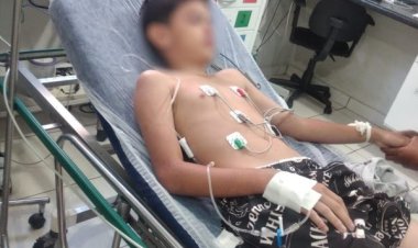 Polícia investiga caso de menino de 11 anos que passou mal após comer lagartixas