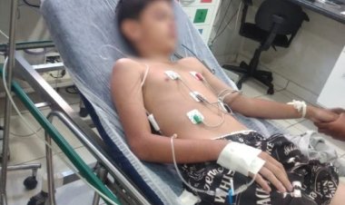 Menino induzido por madrasta a comer lagartixa volta a passar mal