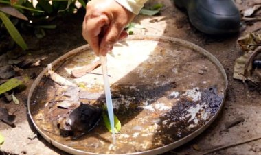 Após Ministério da Saúde alertar para possível epidemia de dengue, Goiás reage