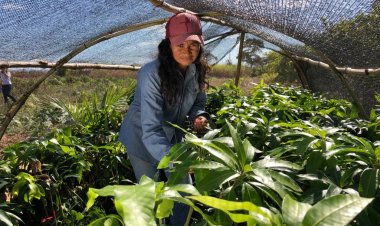 Governo de Goiás seleciona produtores para projeto de Fruticultura Irrigada do Vão do Paranã