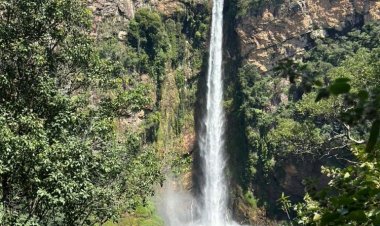 MP recomenda suspensão de projeto que permite atividades agropecuárias nas imediações do Parque Municipal do Itiquira