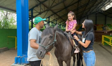 Terapia com cavalos auxilia no tratamento de pacientes do Crer