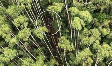 FAB encerra ocorrência sobre helicóptero encontrado em Paraibuna