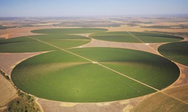 Agronegócio foi responsável por um saldo na balança comercial do Entorno de mais de meio bilhão de dólares