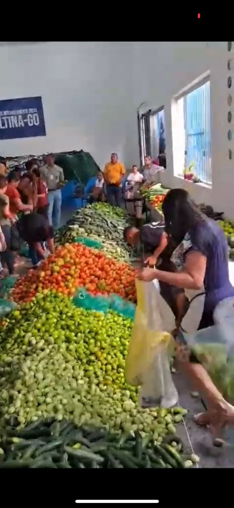 Entorno revela força da mulher na agricultura familiar