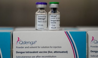 Governo de Goiás inicia distribuição da vacina contra a dengue