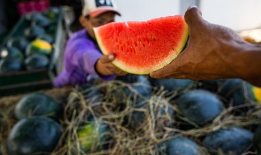 Jussara recebe autorização para exportar melancia, melão e abóbora