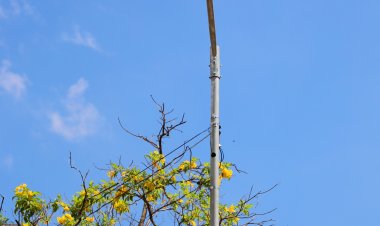 Governo de Goiás vai instalar 564 câmeras de monitoramento