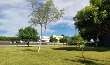 Goiás cria 1º parque em homenagem às vítimas do atentado terrorista de 7 de outubro em Israel