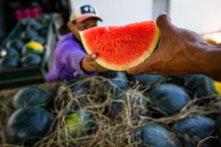 Jussara recebe autorização para exportar melancia, melão e abóbora