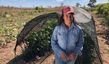 Mulheres são maioria dos beneficiados por programas do Estado para agricultura familiar