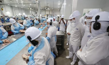 Renda das famílias goianas cresce 24,6%