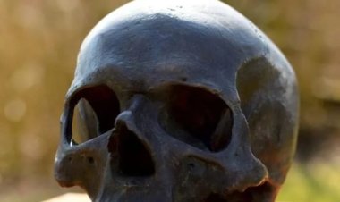 Ossada humana é encontrada em Formosa