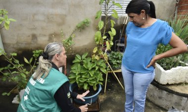 Governo de Goiás alerta para sinais de agravamento de sintomas da dengue