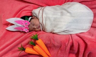 Celebração da Páscoa em foco: HEF encanta com ensaio fotográfico temático estrelado por bebês recém-Nascidos